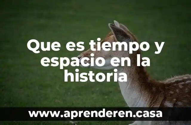 Que es tiempo y espacio en la historia