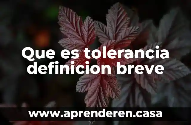 Que es tolerancia definicion breve