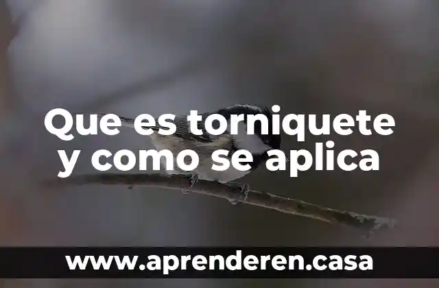 Que es y como se aplica una referencia cruzada 3 Que es torniquete y como se aplica