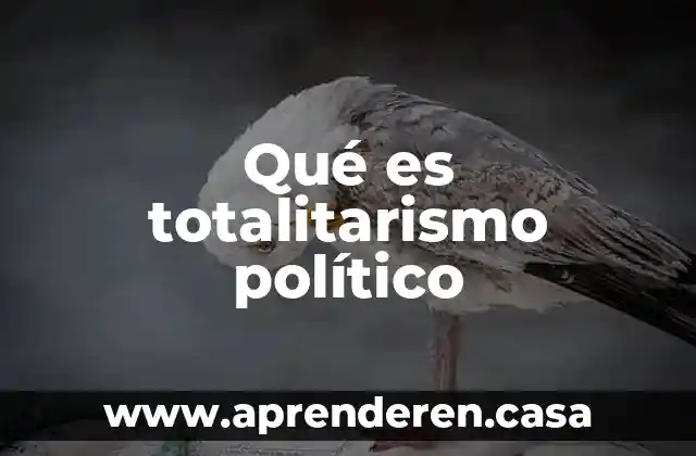 Morbo politico que es 3 Qué es totalitarismo político