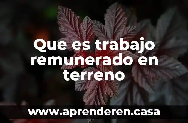 Qué es trabajo tecnología 6 Que es trabajo remunerado en terreno