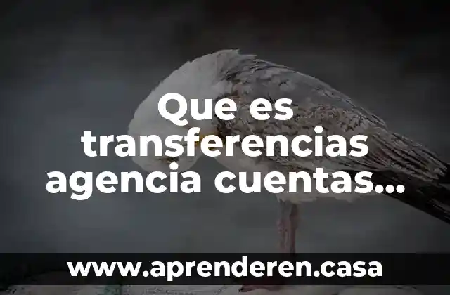 Que es catalogo de cuentas en cintavilidad 4 Que es transferencias agencia cuentas ced