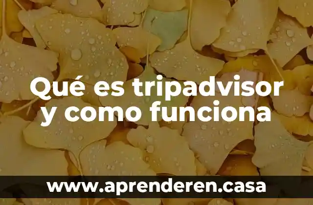 Qué es tripadvisor y como funciona