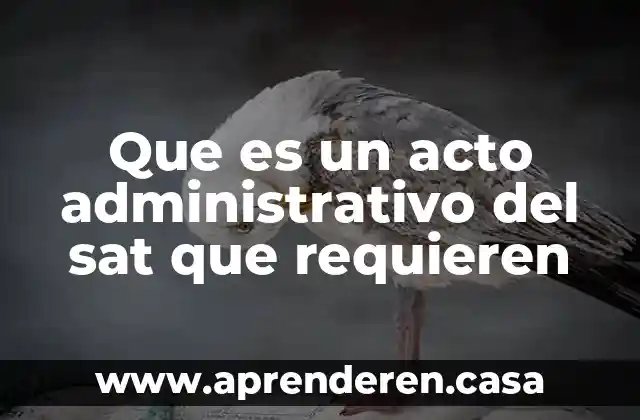 Que es un acto administrativo del sat que requieren