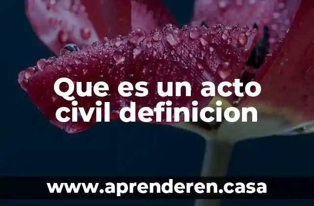 Que es un acto civil definicion