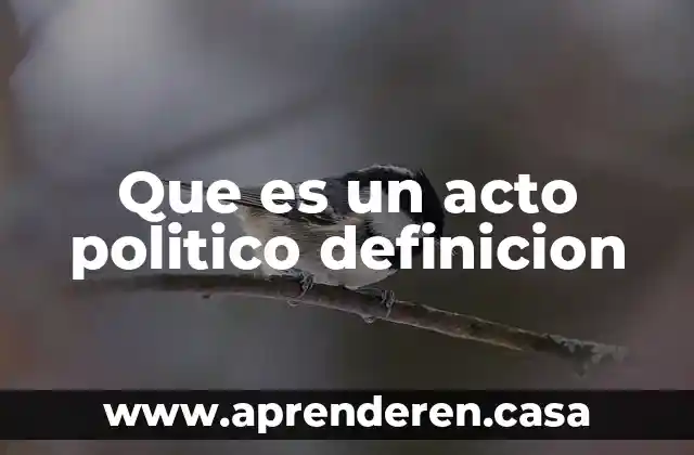 Que es un acto politico definicion