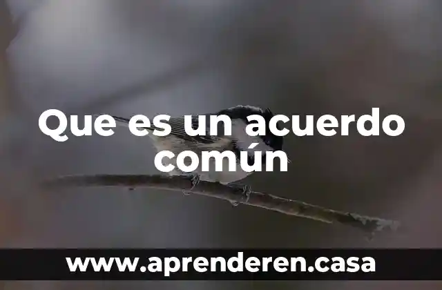 Qué es estilo oral coloquial o común 8 Que es un acuerdo común