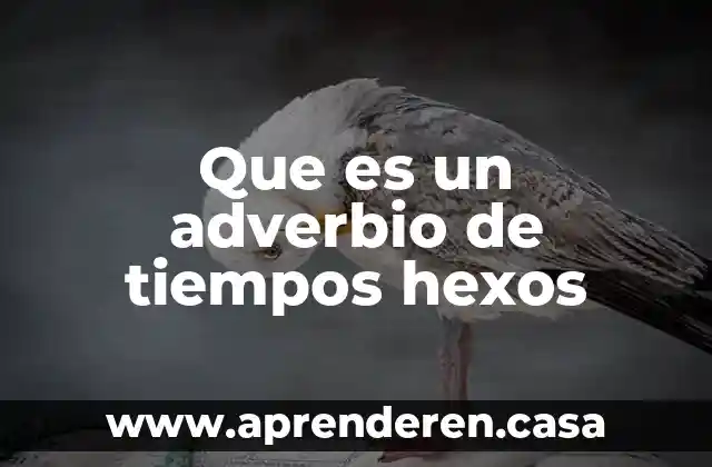 Que es un adverbio de tiempos hexos