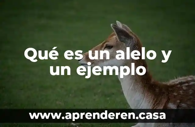 Qué es un alelo y un ejemplo