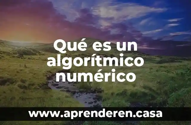 Qué es un algorítmico numérico