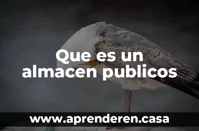 Que es un almacen publicos