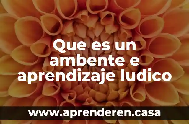 Que es un ambente e aprendizaje ludico