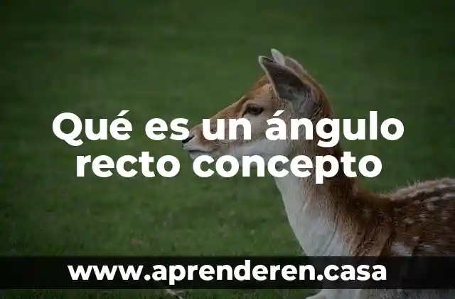 Que es la capa de sesión concepto 3 Qué es un ángulo recto concepto