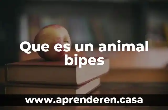 Qué es un animal carnívoro ejemplos 5 Que es un animal bipes