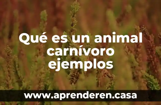 Qué es un animal carnívoro ejemplos