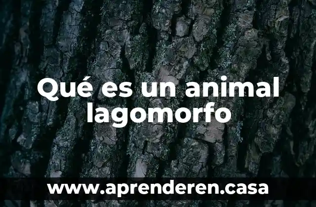 Qué es un animal lagomorfo