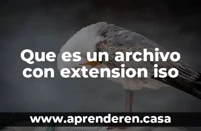 Que es un archivo con extension iso