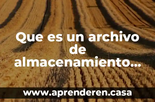 Que es un archivo de almacenamiento interno