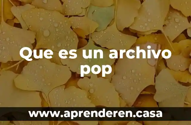 Que es un archivo pop