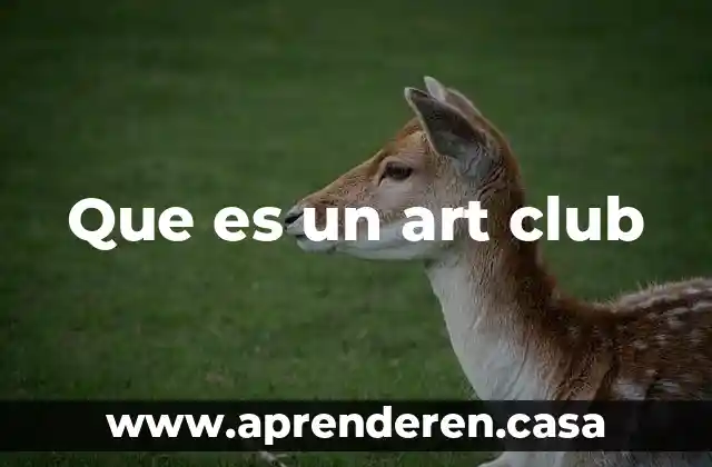 Que es un art club