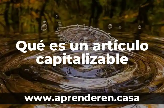 Que es un articulo dibulgacion 4 Qué es un artículo capitalizable