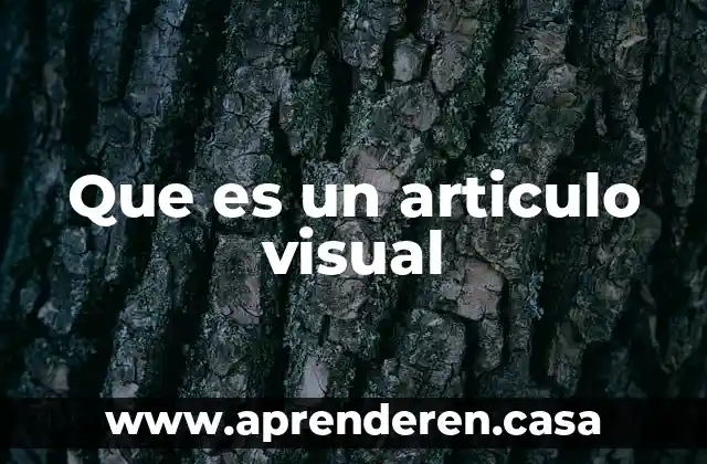Que es un articulo visual