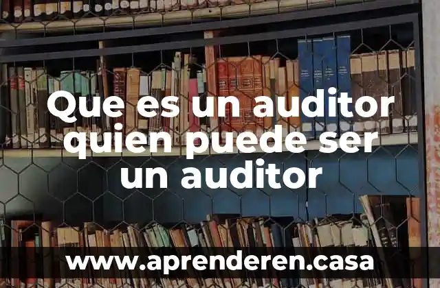 Que es un auditor quien puede ser un auditor