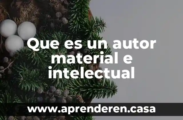 Que es un autor material e intelectual