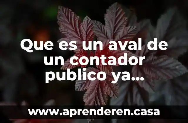 Qué es la doctrina diplomática dentro del derecho internacional público 5 Que es un aval de un contador publico ya certificado