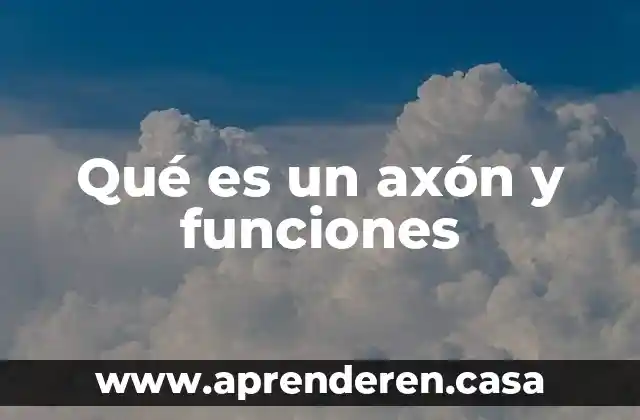 Qué es un axón y funciones
