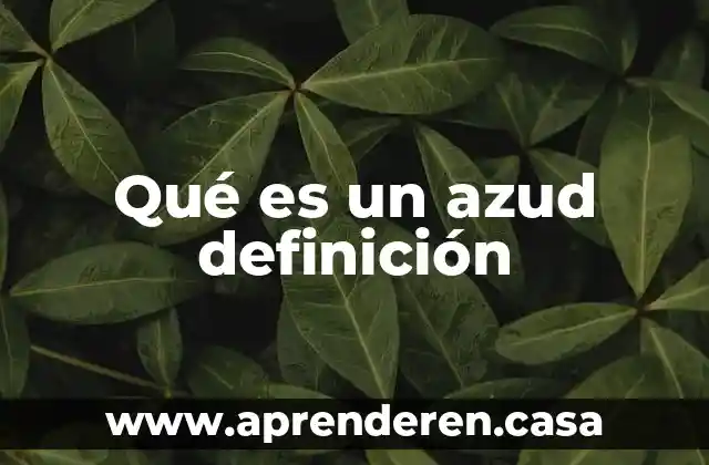 Qué es una asociada definición 3 Qué es un azud definición