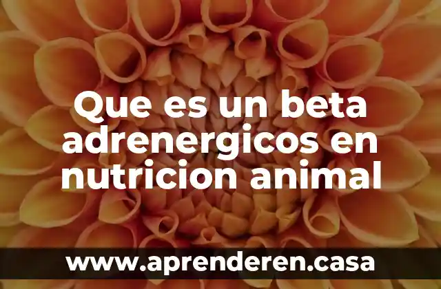 Que es un beta adrenergicos en nutricion animal
