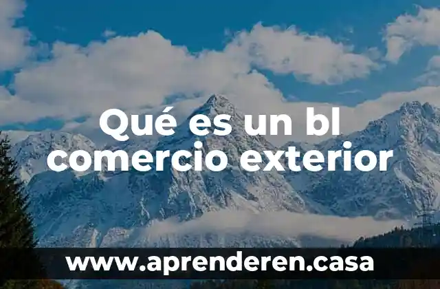 Que es un socio estrategico en comercio 7 Qué es un bl comercio exterior