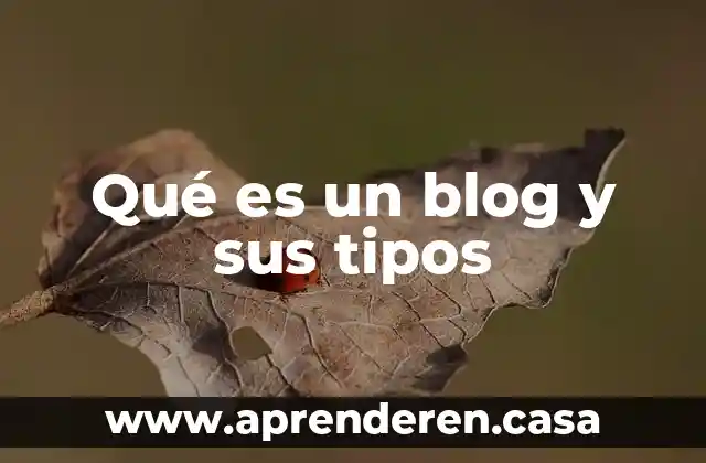 Qué es un blog y sus tipos