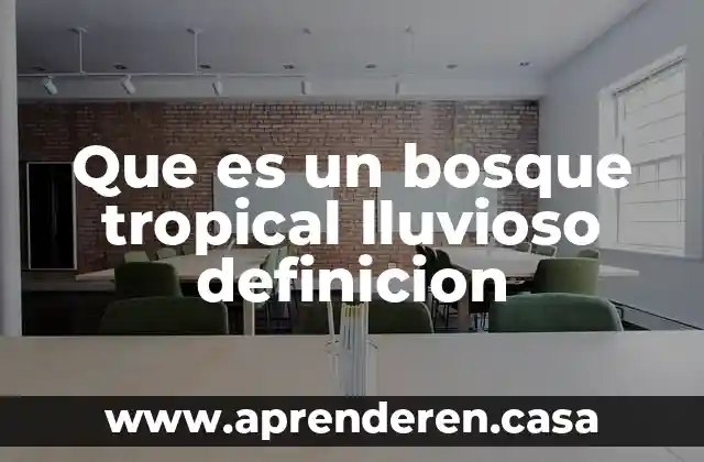 Que es un bosque tropical lluvioso definicion