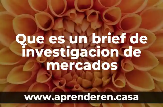 Volatilidad en los mercados que es 8 Que es un brief de investigacion de mercados
