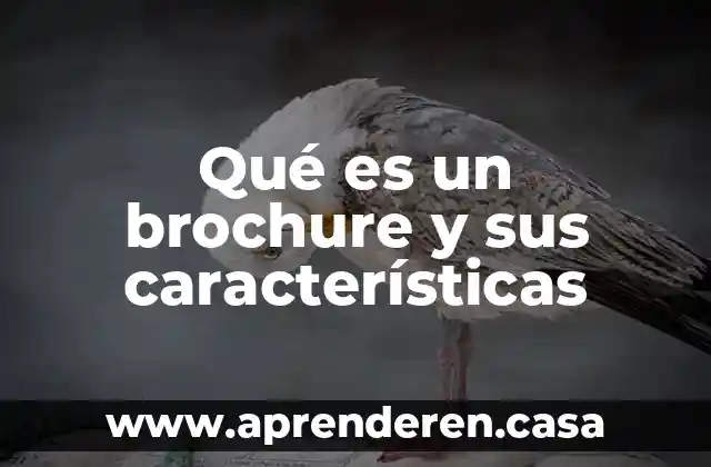 Qué es un brochure y sus características