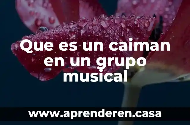 Que es un caiman en un grupo musical
