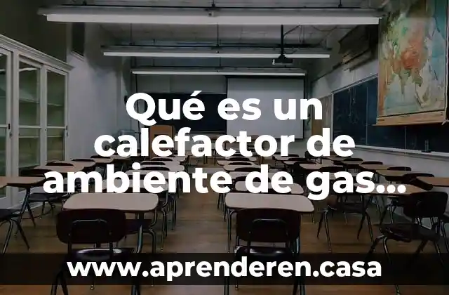 Qué es un calefactor de ambiente de gas LP