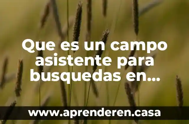 Que es una bobinas de campo en un motor universal 4 Que es un campo asistente para busquedas en access