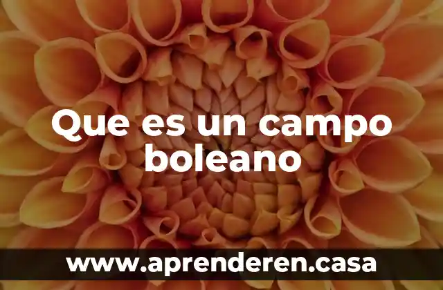 Que es investigacionde campo 3 Que es un campo boleano
