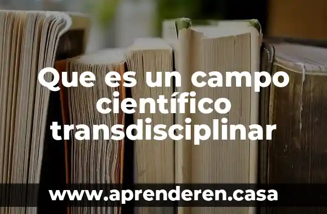 Que es un campo científico transdisciplinar