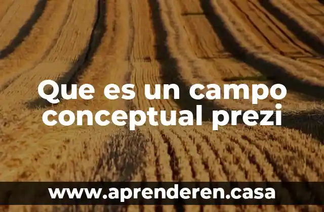 Que es un campo conceptual prezi