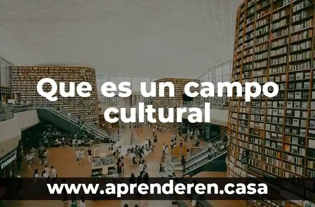 Que es un campo cultural