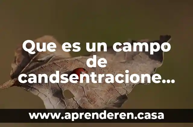 Que es una bobinas de campo en un motor universal 7 Que es un campo de candsentracione exterminio