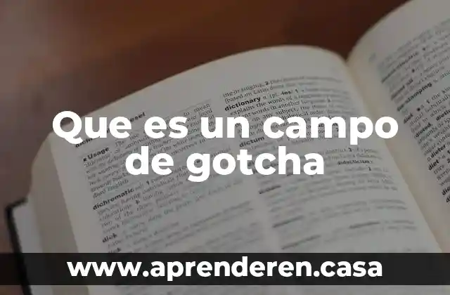 Que es investigacionde campo 4 Que es un campo de gotcha