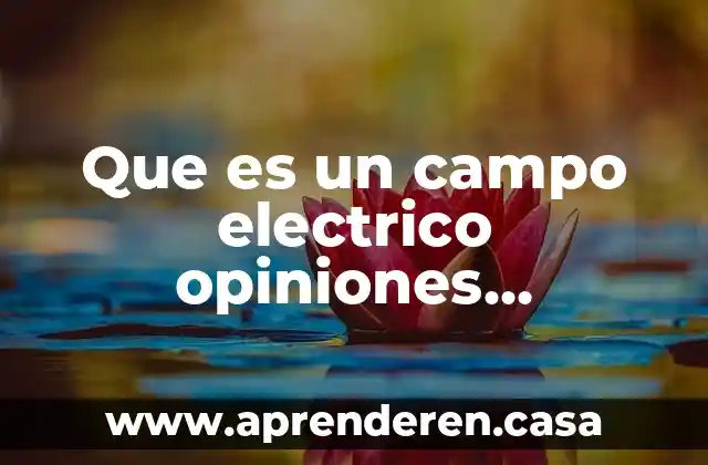 Que es un campo electrico opiniones personales