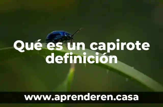 Qué es un capirote definición