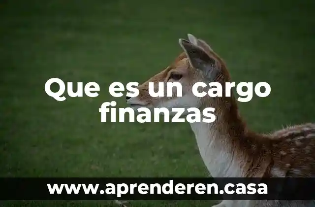 Que es un cargo finanzas