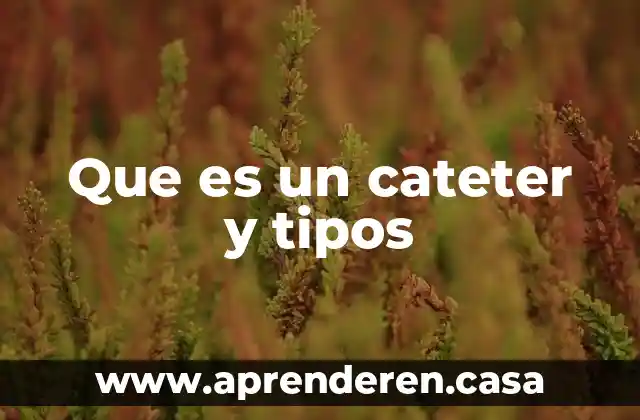 Que es un cateter y tipos
